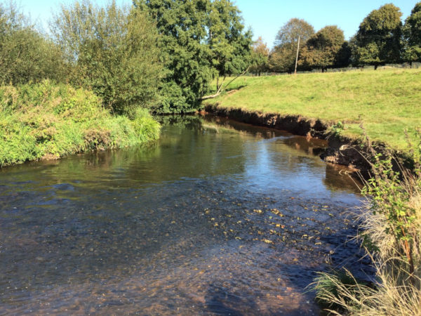 The Culm at Killerton showing a deeply incised river channel