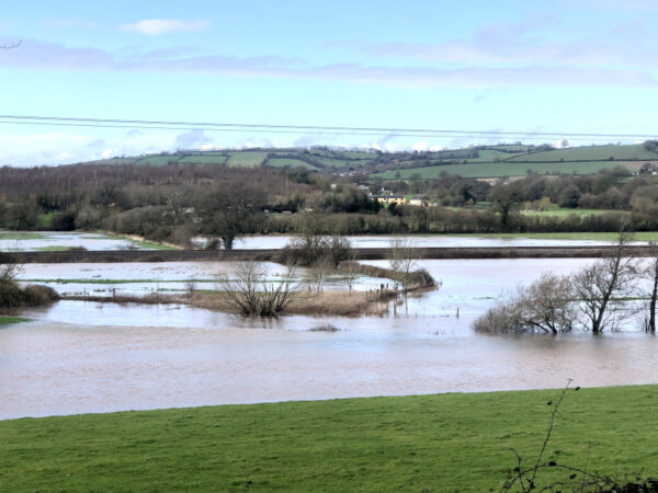 The Culm flooding at Killerton