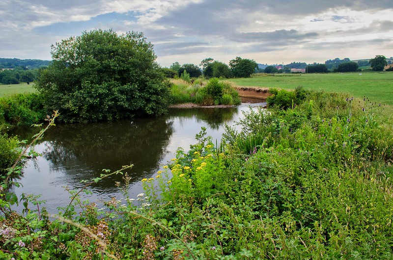 A photo of the River Hele and the surrounding landscape. with plants and trees growing close to the river bank and some river bank erosion.