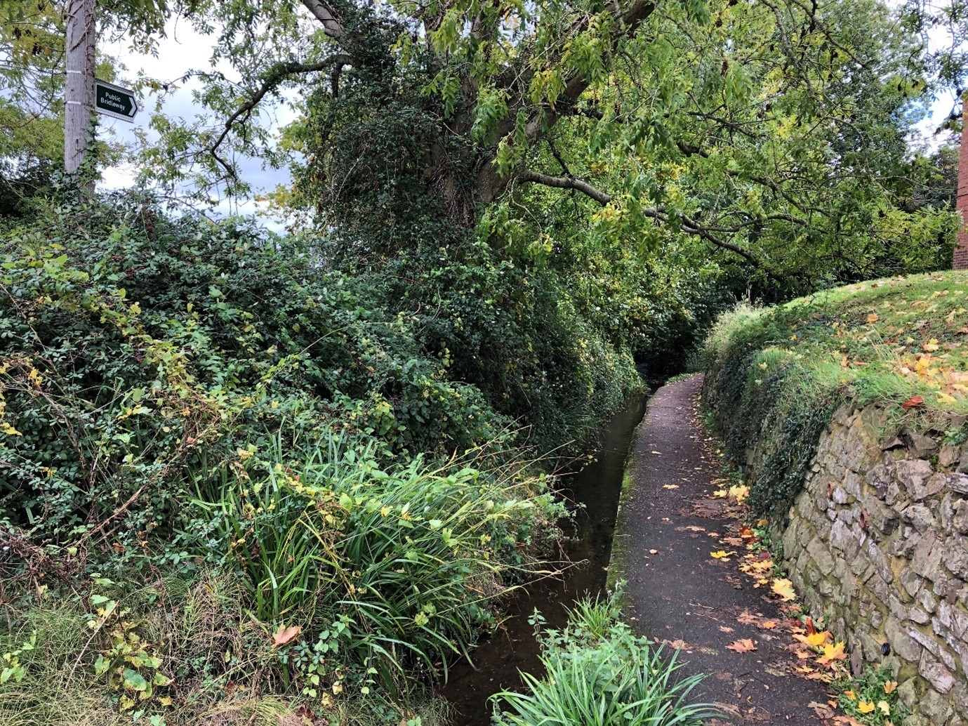 A concrete pathway running alongside the Culm at Cullompton