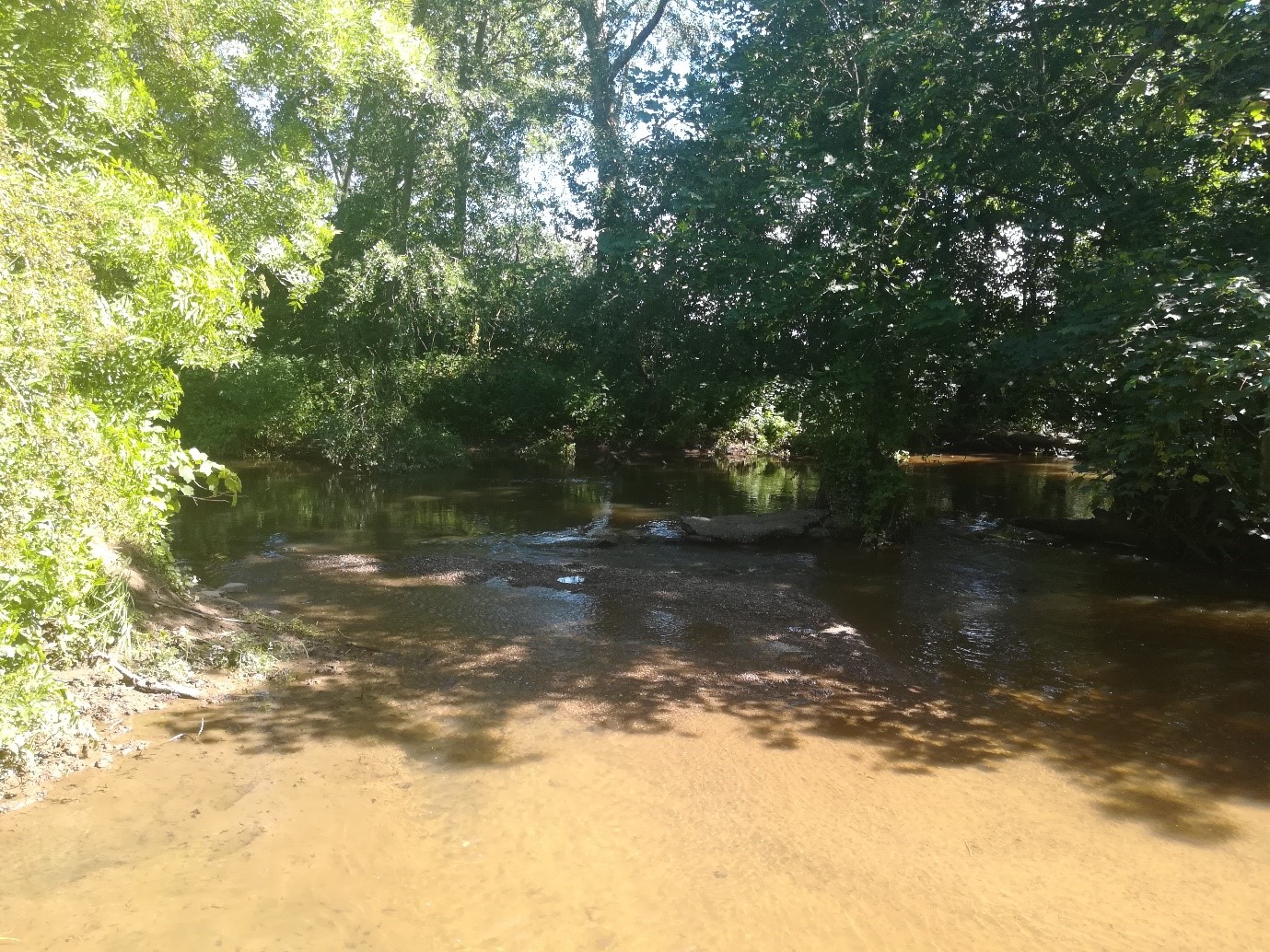 A shaded shallow area in the lower River Culm