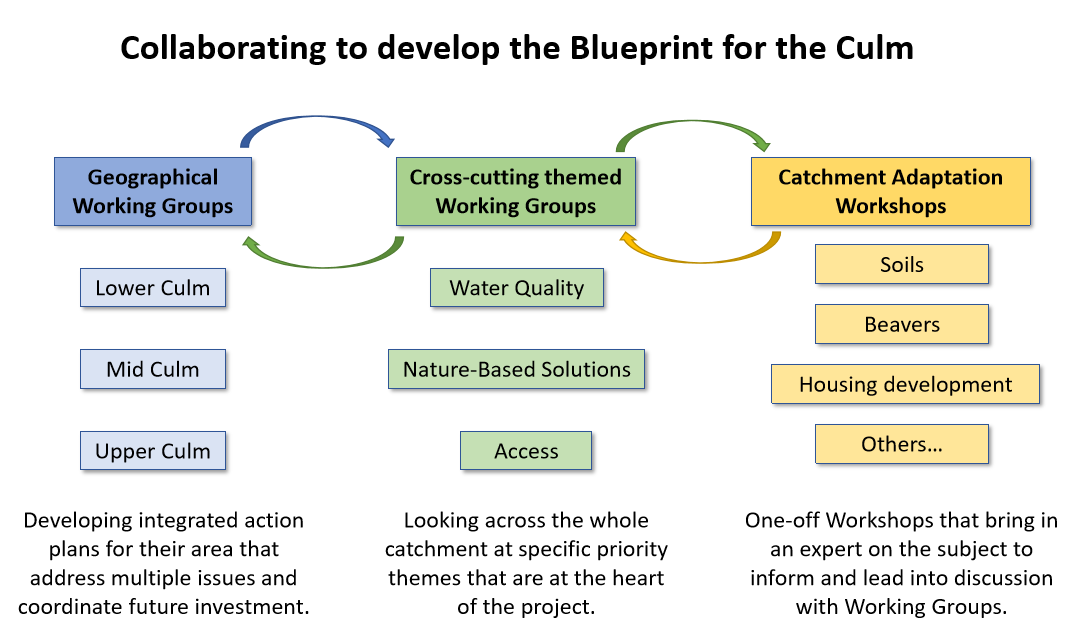Collaborating to develop the Blueprint for the Culm. A diagram showing geographical working groups (lower, mid and upper Culm), Cross-cutting themed working groups (water quality, nature-based solutions, access), and catchment enhancement workshops (soils, beavers, housing development and others.