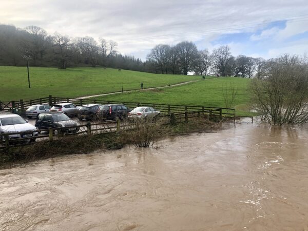 Flooding on the Culm at Killerton next to carpark