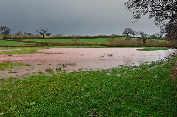 Field with flood-water storage using bunds, Holnicote Estate, Somerset