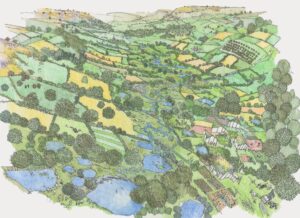 Illustrated stylised map of a vision for the future of the River Culm in summer