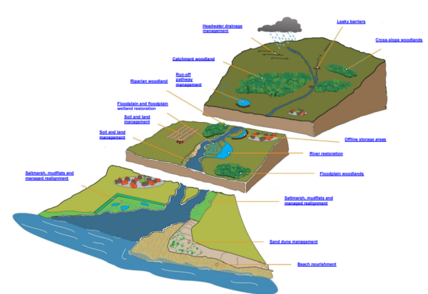 Image from the Environment Agency’s Evidence Base showing functions of a river