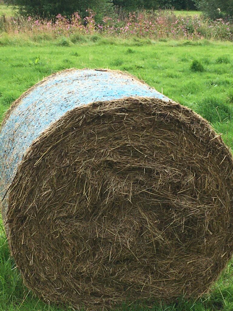 A rolled bale of hay