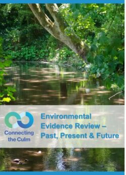 Environmental Evidence Review. Past, Present and Future front cover with an image of the River Culm with dappled light and shade and plants and trees growing along its banks.