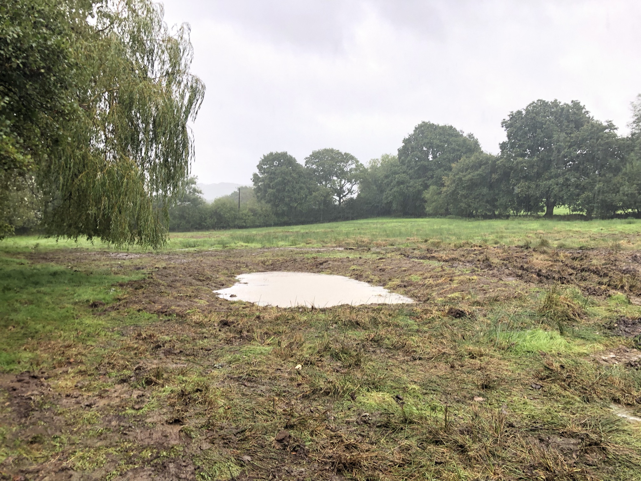 A scrape or small pool in a field filled with water.