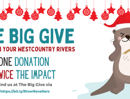 Revel in your river – The Big Give