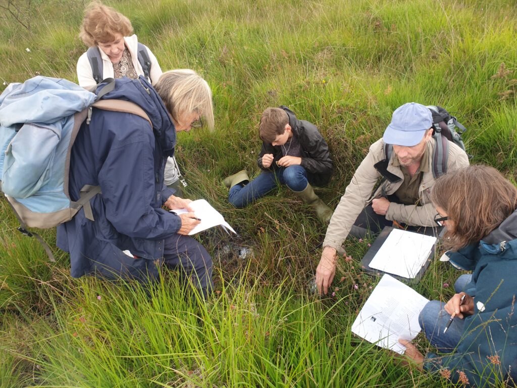 A group of people in wetlands looking at plants and making notes