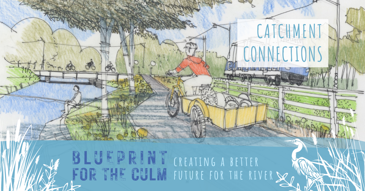Illustration depicting a future vision for the River Culm catchment