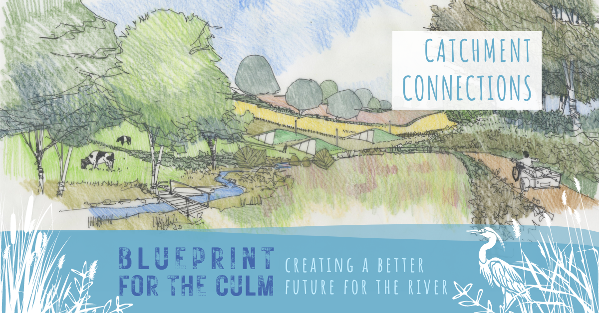 Illustration of a future vision for the River Culm