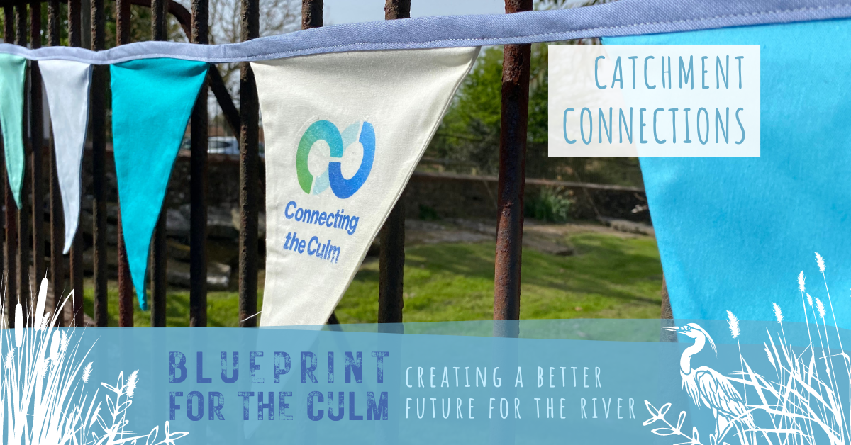 Connecting the Culm branded bunting