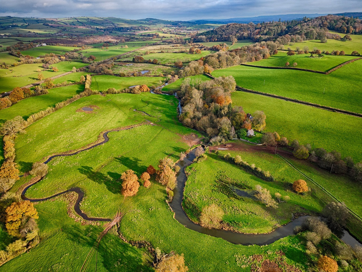 Aerial photo showing floodplain scrapes created as part of the Connecting the Culm project at the National Trust Killerton estate