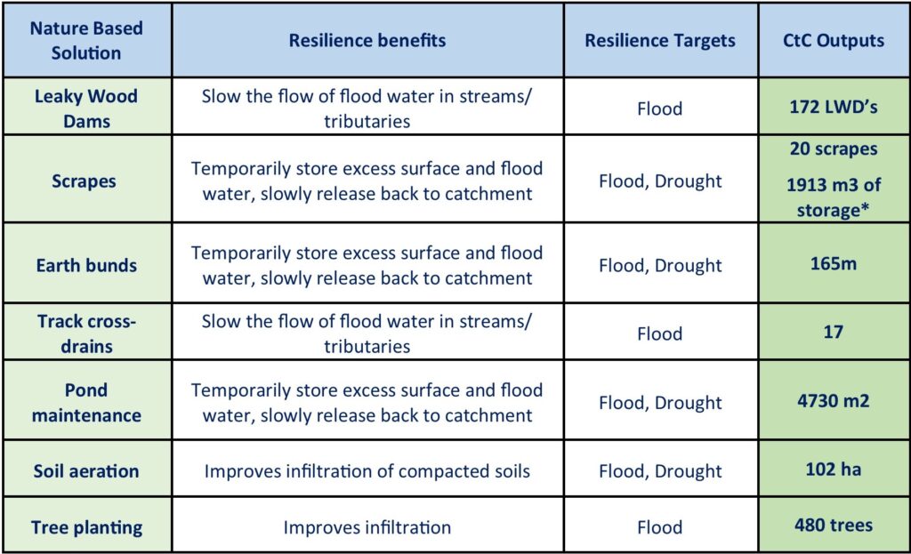 A table showing different nature-based solutions, their resilience benefits, resilience targets and Connecting the Culm targets.