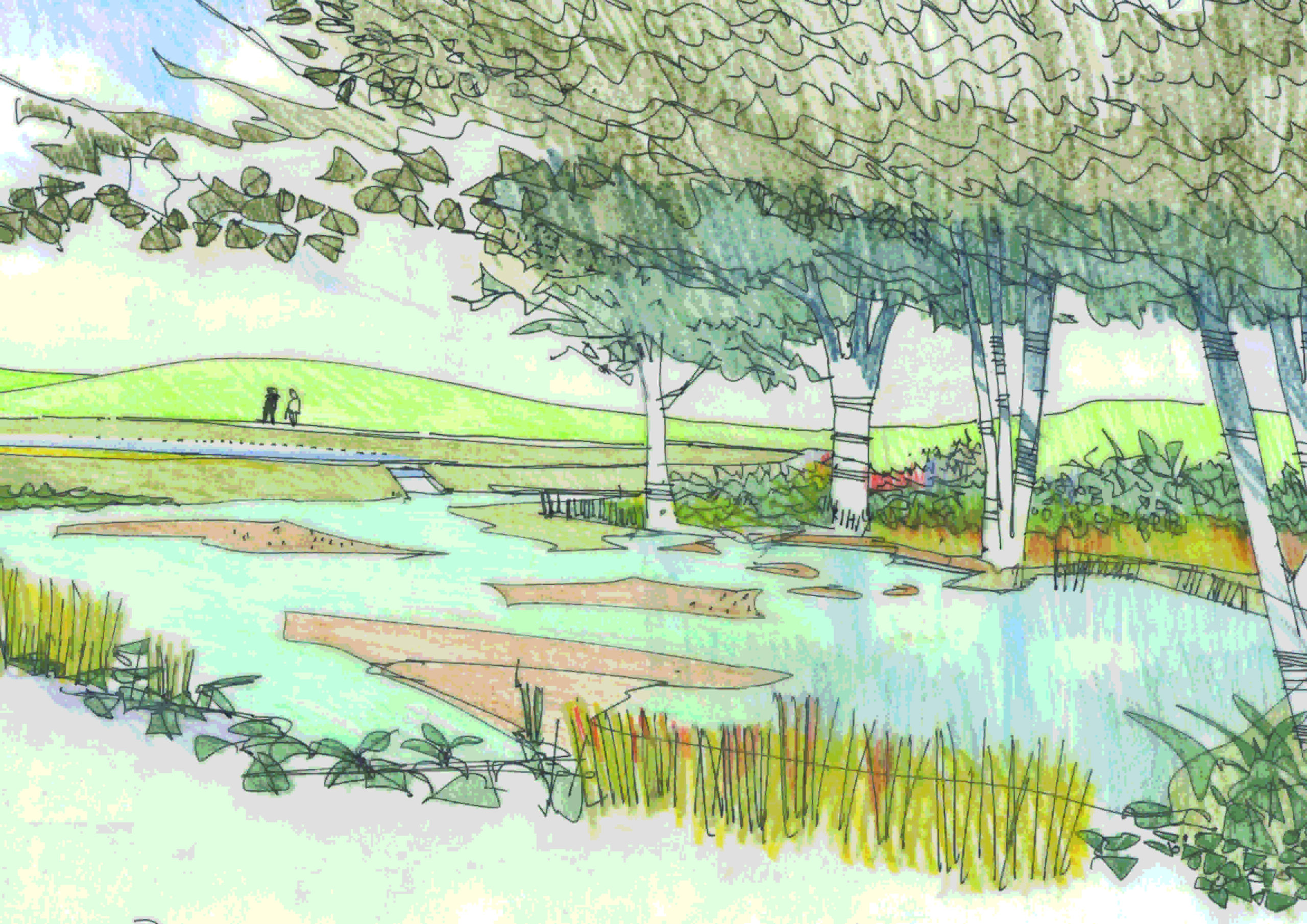 An illustration of detention and retention ponds by Richard Carman