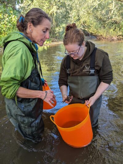 Crayfish specialist Dr Jen Nightingale (left) and Wildwood Devon Conservation Manager Charly Mead (right) undertaking a crayfish survey