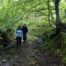Clare Viner walking along a footpath on her story pilgrimage along the River Culm