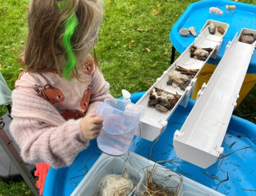 Cullompton Autumn Festival: A Day of Community, Creativity & the Culm