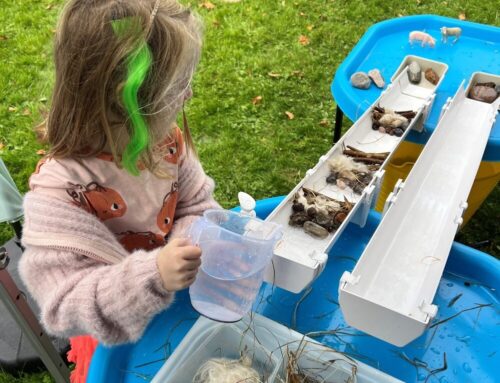 Cullompton Autumn Festival: A day of community, creativity and the Culm