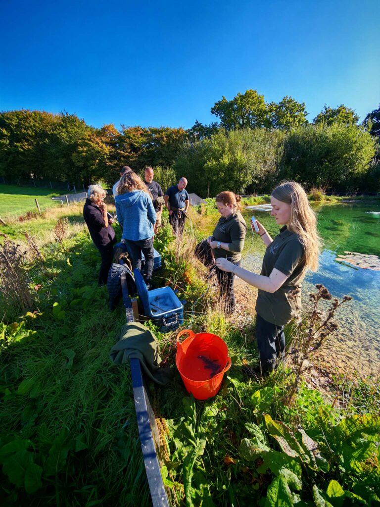 Crayfish Ark Site – Credit Marcus Brown-small