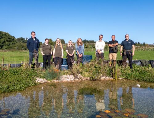 Saving Devon’s Native Crayfish project update