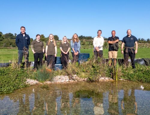 Saving Devon’s Native Crayfish project update