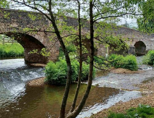 River Culm heritage and environment walk