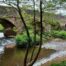 The stone arches of a bridge over a shallow river
