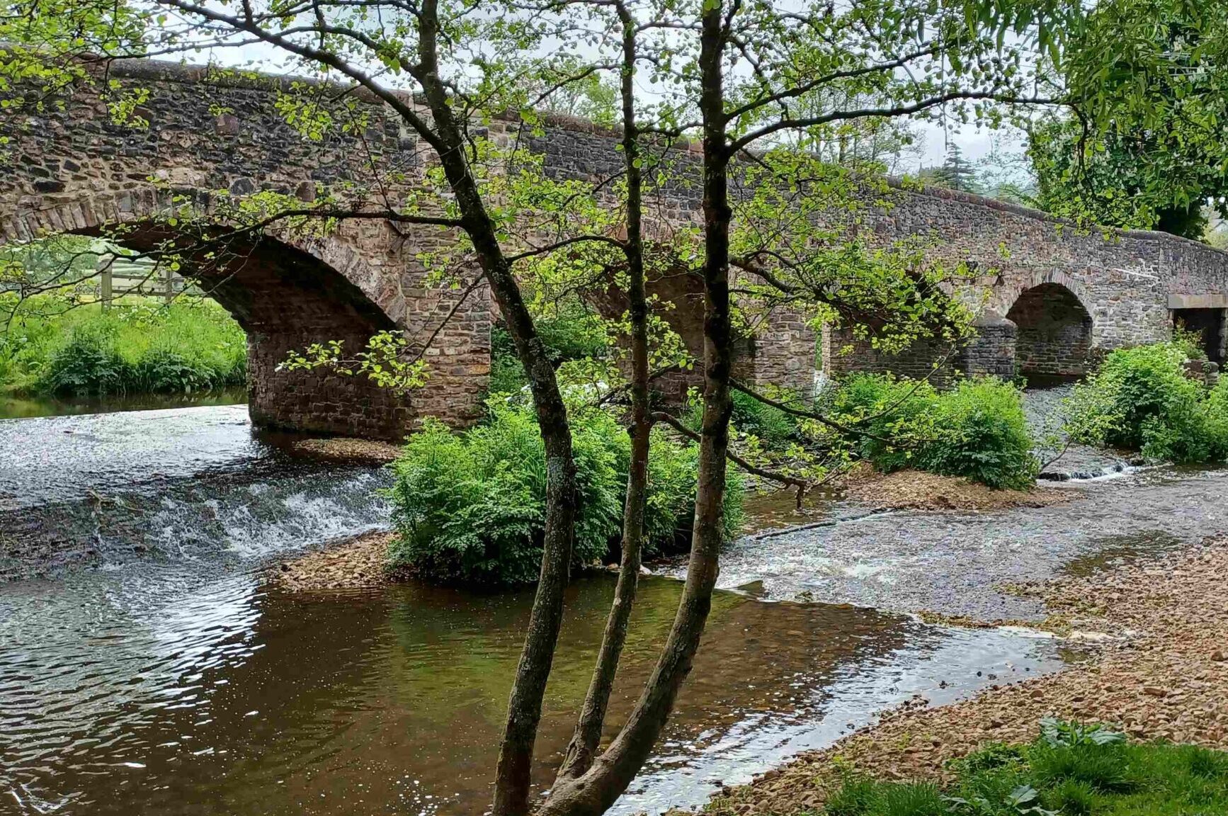 The stone arches of a bridge over a shallow river