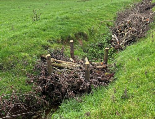 Catchment Officers on the ground