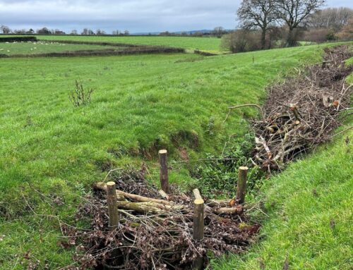 Catchment officers on the ground