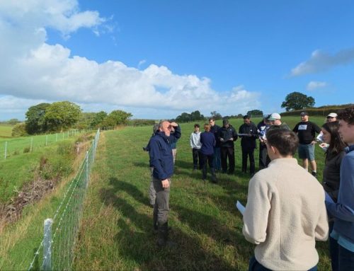 Network Rail Climate Resilience Team Visits Connecting the Culm Project